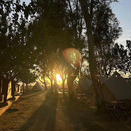 Camping Delta Natura La Tancada Ампоста Экстерьер фото